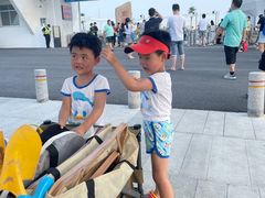 -碧海金沙