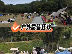 -黄埔油麻山森林公园