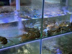 水产区-海之鲜大排档(东山海鲜金銮湾店)