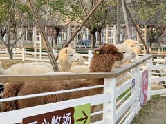 -盈香心动乐园
