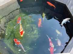 -西安市广仁寺