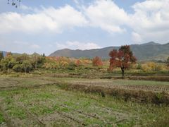 -塔川景区