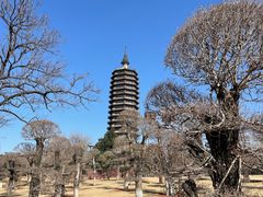 -西海子公园