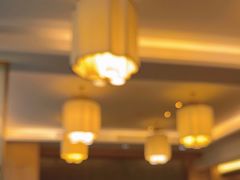 -水月周庄铂尔曼酒店-水月荟中餐厅