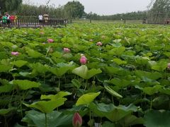 -渔岛海洋度假区