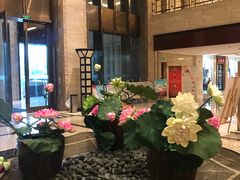 -常州逸高酒店-中餐厅