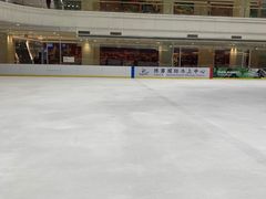-陈露国际冰上中心(天津嘉里汇店)