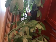 -梦都海鲜酒家(万达广场江桥店)