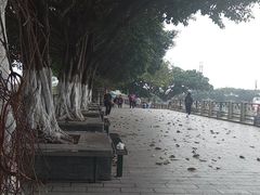 景点-黄埔古港