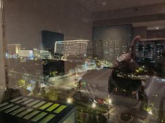 -上海虹桥西郊假日酒店