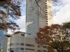 -东京希尔顿酒店