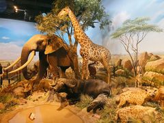 -陕西自然博物馆