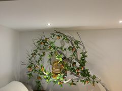-麦子MaiMassage(打浦桥店)