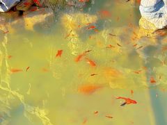 -碑林公园