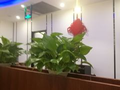 -高兴一锅潮汕鲜牛肉火锅(银座店)