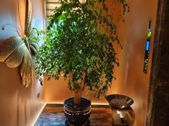 -霖公馆SPA·足道(普善路店)