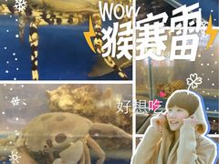 -顺峰渔港中国人的餐厅