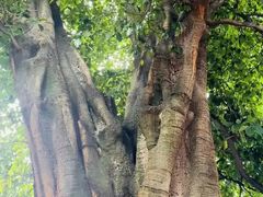 -悦界酒吧(后海店)