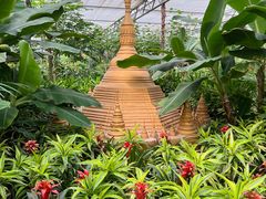 -南宫五洲植物乐园