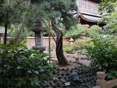 -龙华寺