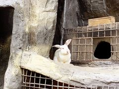 -栾川竹海野生动物园