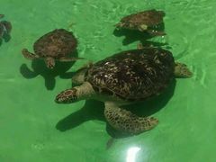 -常州海昌海洋探索馆