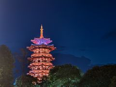-洋湖国家湿地公园