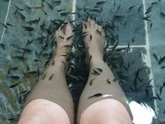 -兴芮温泉度假区