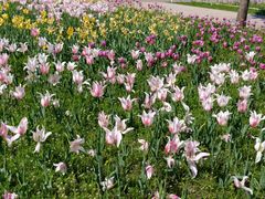 -长春公园(普阳街道)