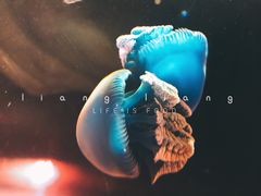 -华夏文旅西安度假区