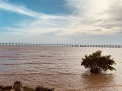 -宝安西湾红树林湿地公园