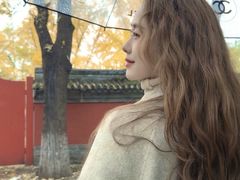 -北京国子监胡同