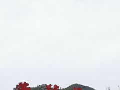 -牛背梁国家森林公园
