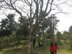 -堤角公园