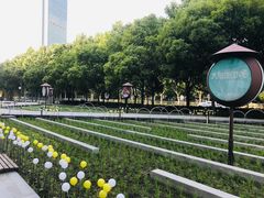 -证大喜玛拉雅中心