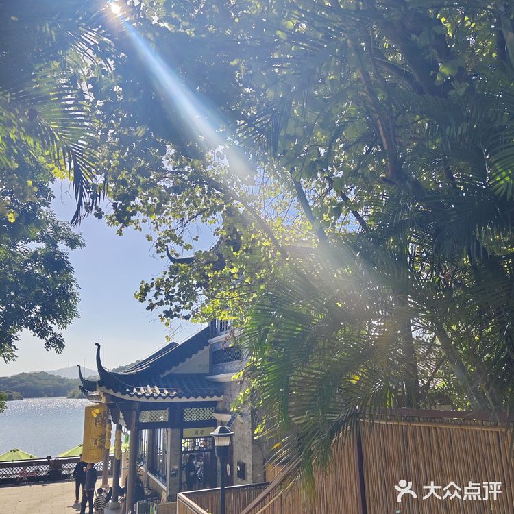 醒莞咖啡☕同沙水库里的中式咖啡店