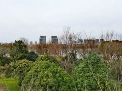 -尚贤河湿地