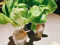 -罗勒家·养生火锅· Bistro(大望路店)