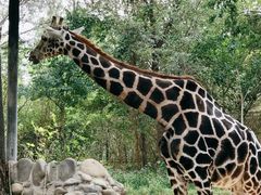 -北京野生动物园