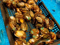 活鲍鱼-阳光岛·海鲜盛宴(银泰中心in99店)