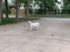 -天津东丽湖风景区