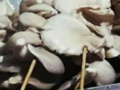 蘑菇-非凡烧烤(历史博物馆店)