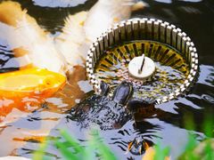 -聚福宝合苑食府(南头镇店)