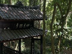 -峨眉山报国寺