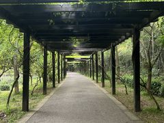 -九龙潭景区