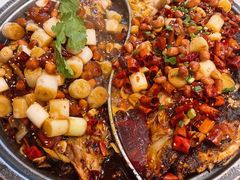 -锦尚阁烤鱼(望京新荟城店)