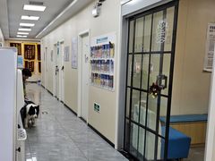 -美联众合爱康动物医院•复杂内科•肿瘤科•牙科•腔镜诊疗中心
