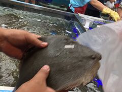 -盒马鲜生(大成店)