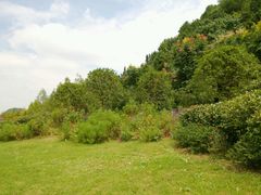 -贵阳市花溪国家城市湿地公园