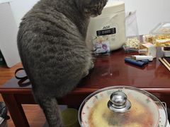 -四季喧黔味豆米火锅(万达广场店)